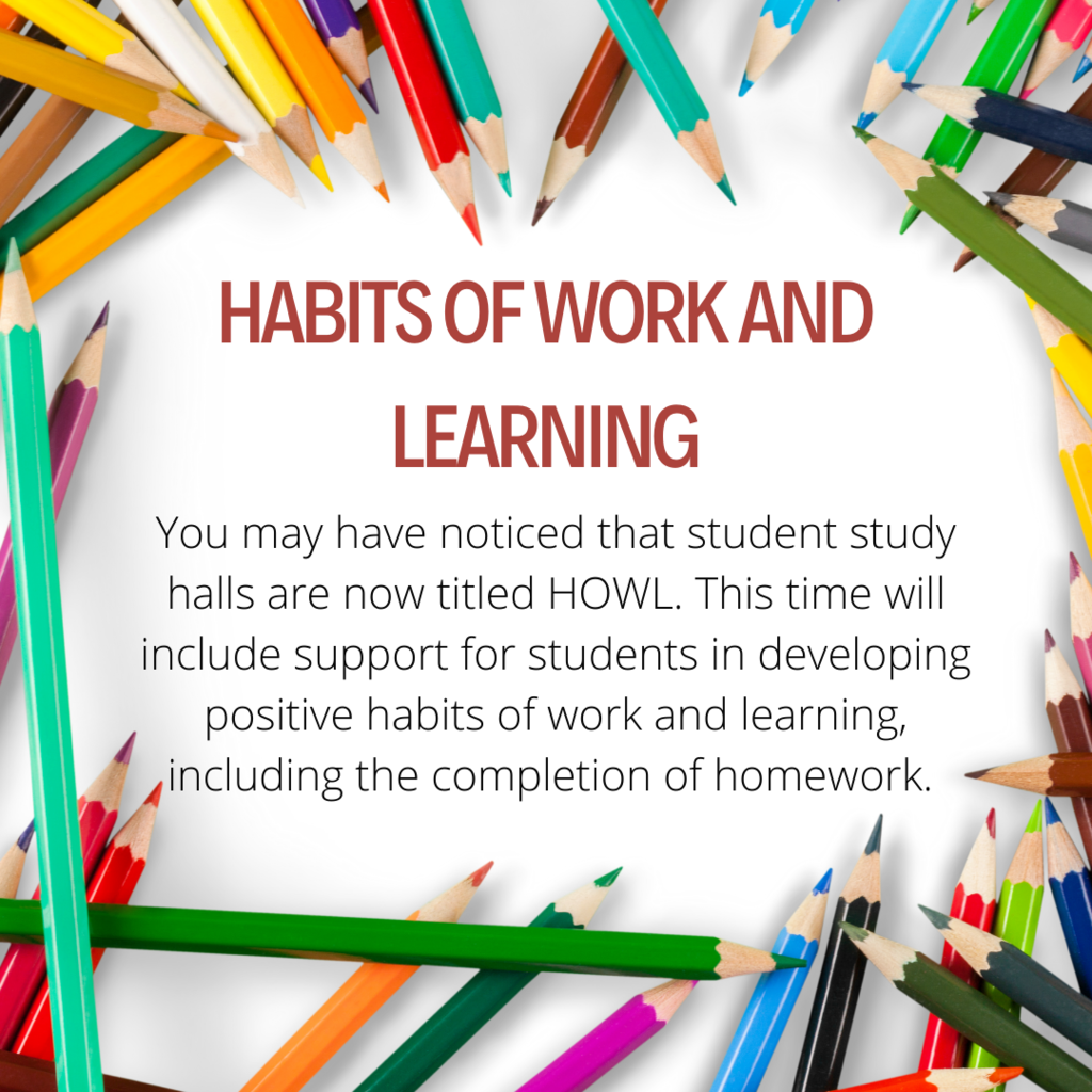 Habits of Work and Learning